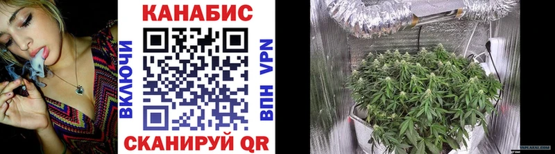 KRAKEN   Великий Устюг  Конопля THC 21% 